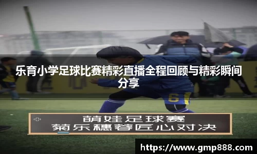 南宫NG28